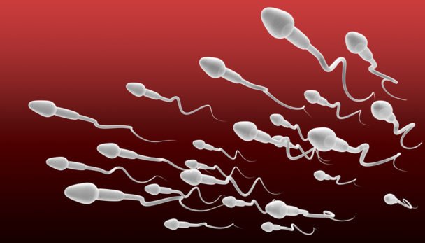 world's largest exporter of sperm
