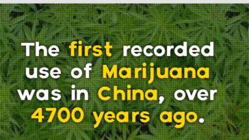 The first recorded use of Marijuana was in China