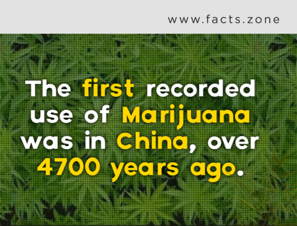 The first recorded use of Marijuana was in China