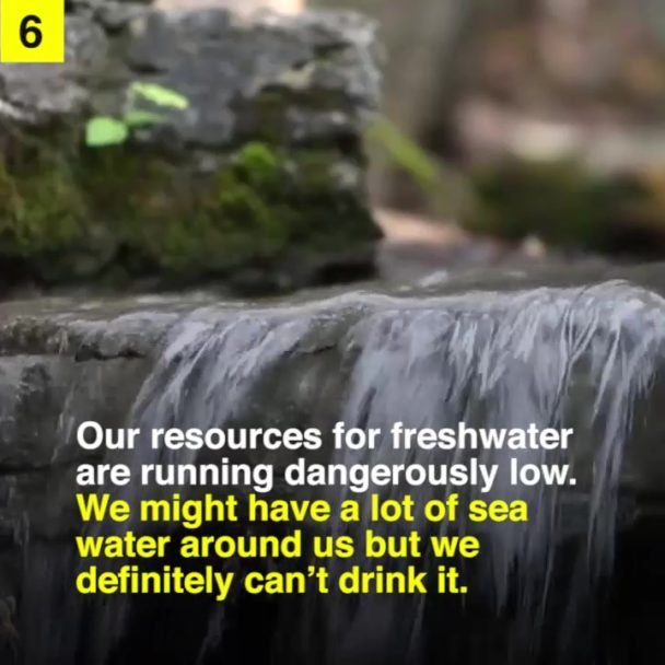 Facts about The Future