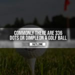 Dimpleon Golf Ball