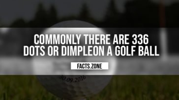 Dimpleon Golf Ball
