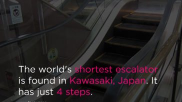 shortest escalator