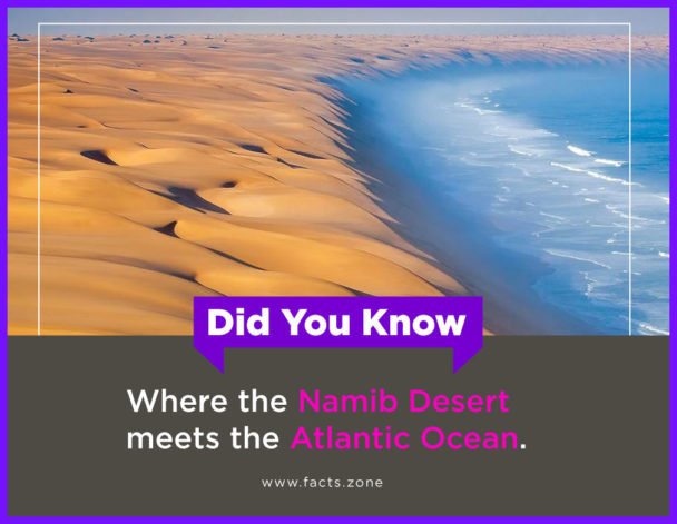 Namib Desert