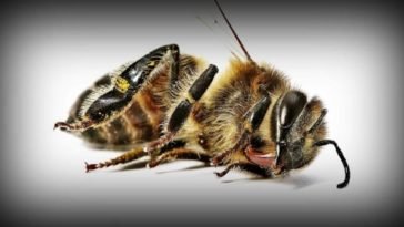 Source: healthyfoodhouse.com