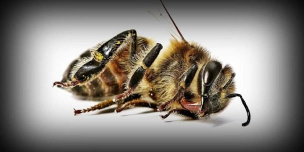 Source: healthyfoodhouse.com