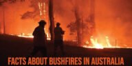 Bushfires in Australia