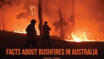 Bushfires in Australia