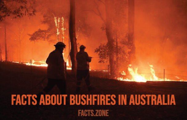 Bushfires in Australia